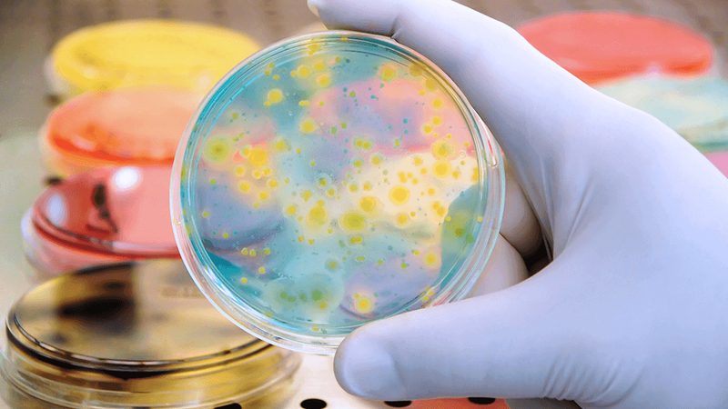 分子生物学试剂的生产工艺和设备对其质量至关重要。加盟商应确保：
