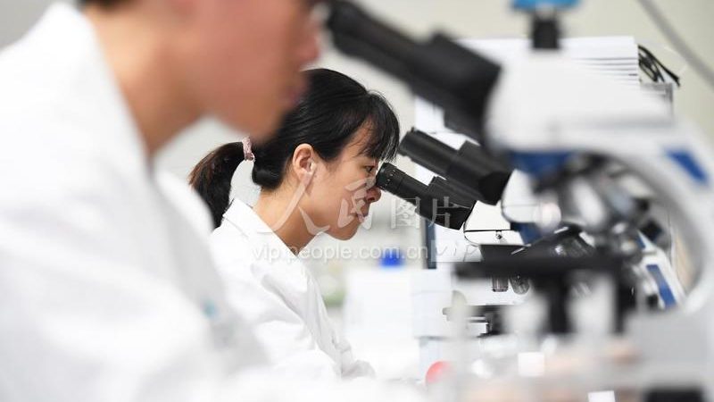 新生儿遗传病基因筛查：流程解析与关键要点**