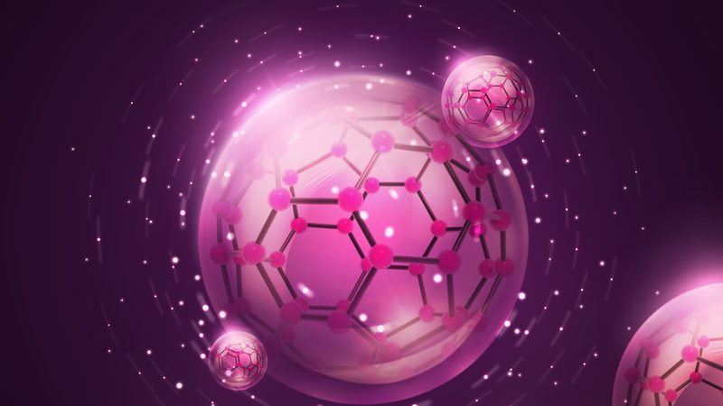 上海细胞工厂，揭秘生物制药领域的未来之星