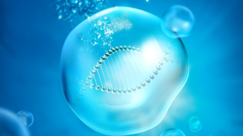 免疫组化抗体稀释比例如何精准调控？**
