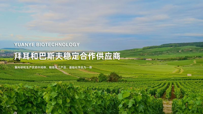 引物合成：揭秘精准科研的“基因钥匙”**