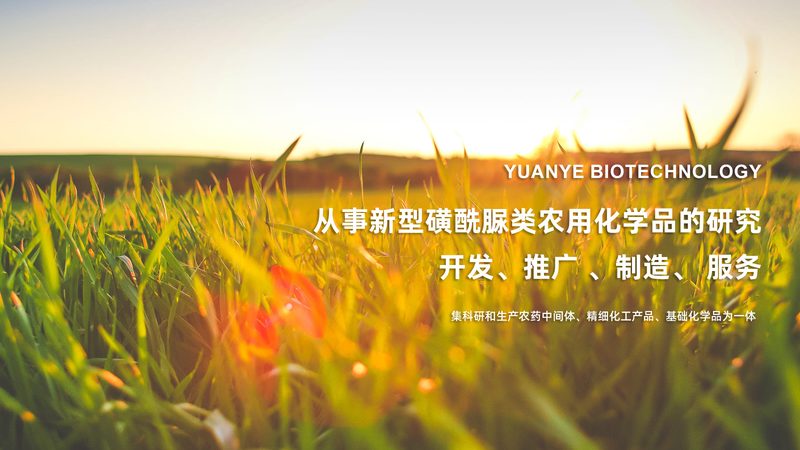 上海生物科技公司注册流程全解析