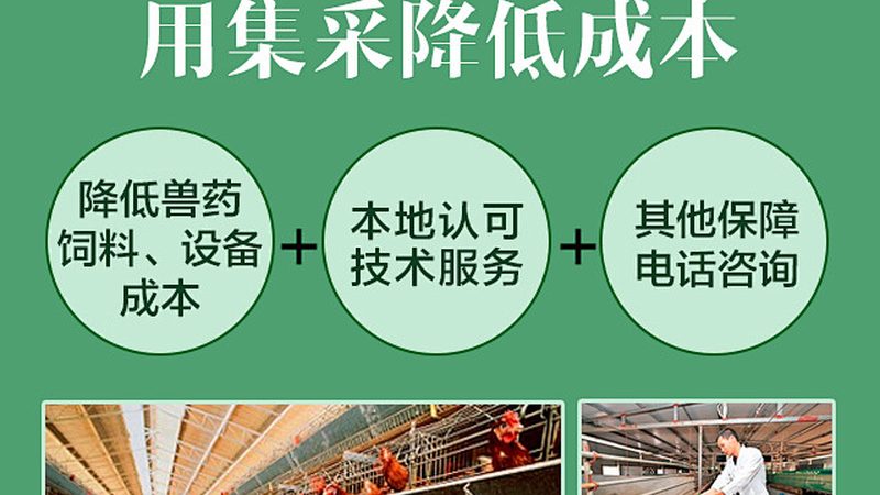 提升临床试验效率：CRO优化方法的解析