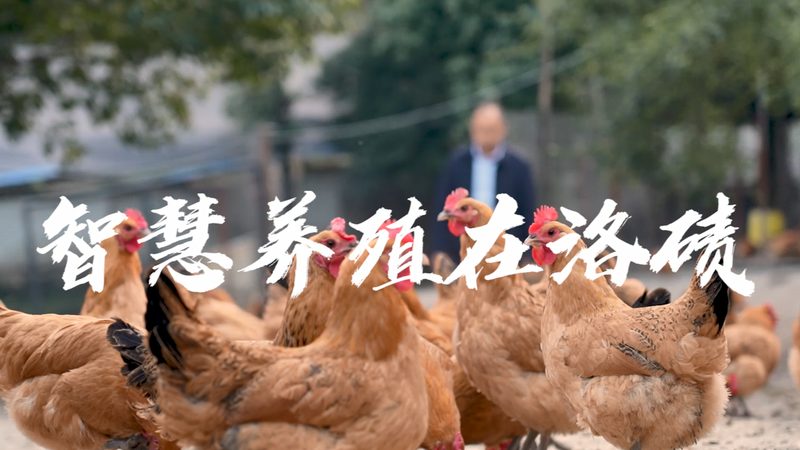 细胞培养基运输储存，这些关键点你掌握了吗？**
