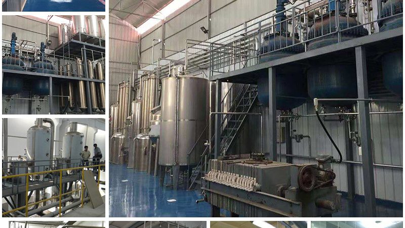 CDMO定制研发项目管理：揭秘高效研发之路