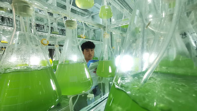 疫苗类生物制品厂家排名：揭秘行业实力与选择标准